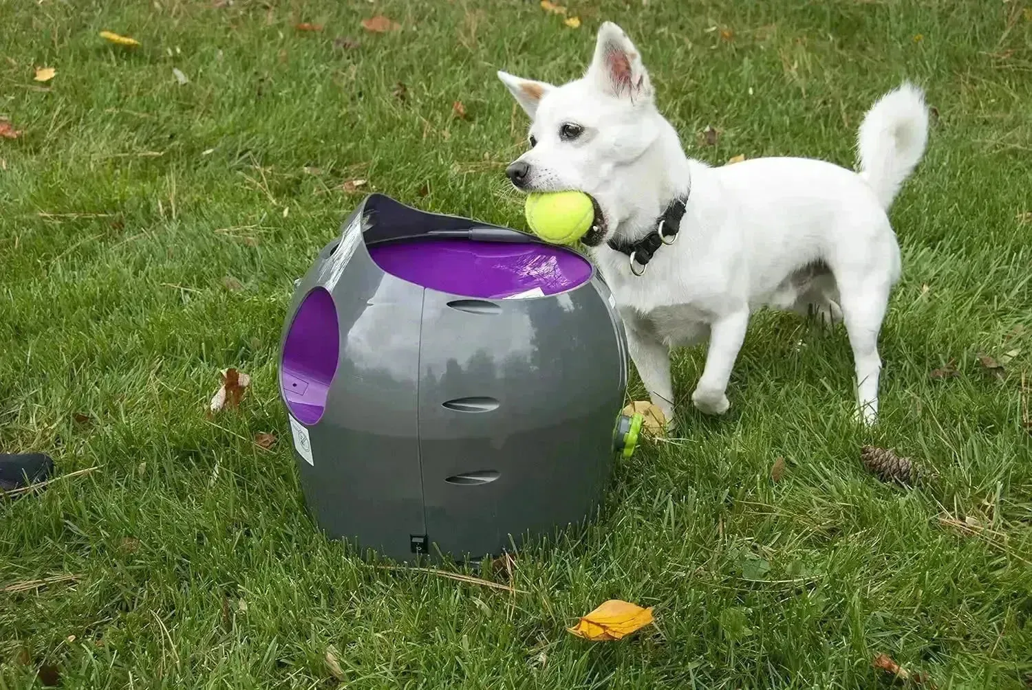 Automatic Dog Ball Launcher All Breed Sizes