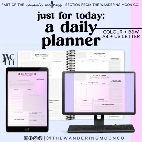 chronic pain & illness daily planner, instant access