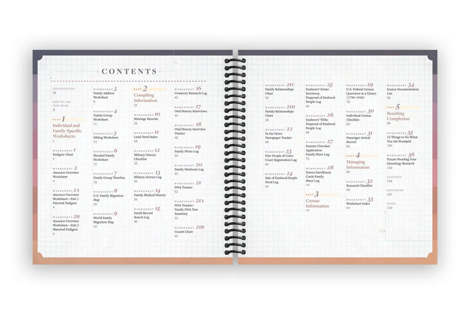Family Tree Workbook: 30  Step-by-Step Worksheets to Build Your Family History (Spiral Bound)
