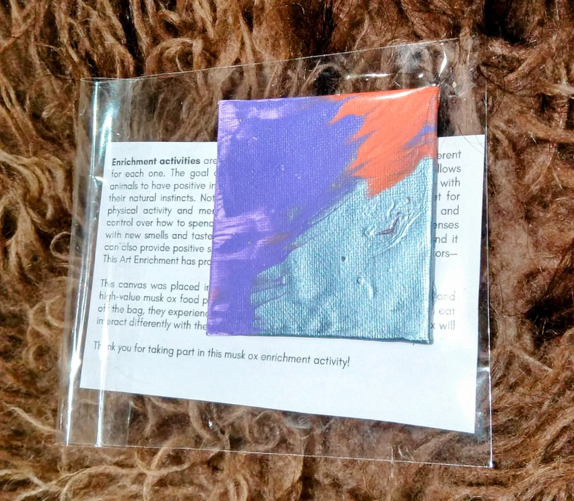 Mini Canvas Art by Safety