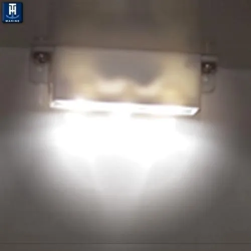 Mini LED Dual Mount Courtesy Light