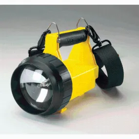 VULCAN W-DUAL REAR LED ORG 12V